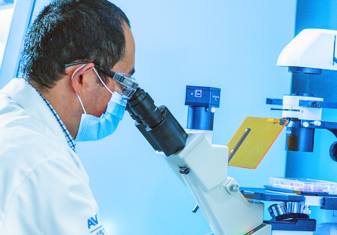 Hero card.png Hero card.png