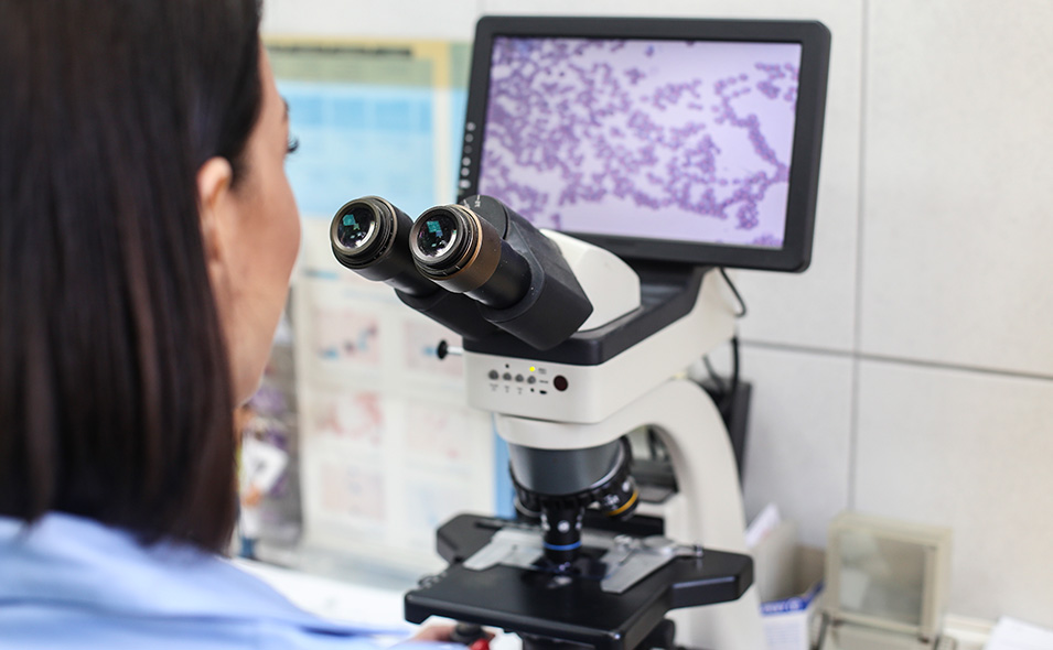 Hero_cmsitem_00571141.jpg Hero_cmsitem_00571141.jpg