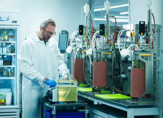A scientist operating bioreactors in a laboratory A scientist operating bioreactors in a laboratory