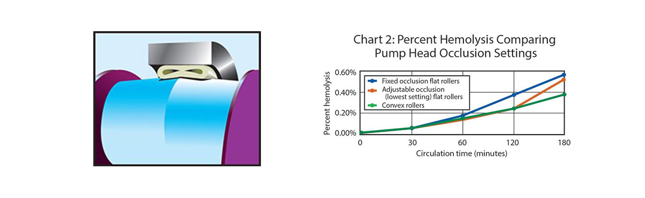 Ismatexandchart2-1300x400.jpg Ismatexandchart2-1300x400.jpg
