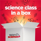 KitsOverview_inset_140.jpg KitsOverview_inset_140.jpg