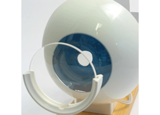 Life-Science-Biology.png Life-Science-Biology.png