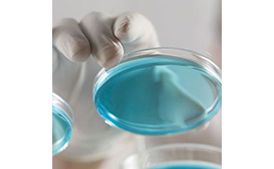 LifeScienceReagents_950x590.jpg LifeScienceReagents_950x590.jpg