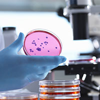 Micro_200.jpg Micro_200.jpg