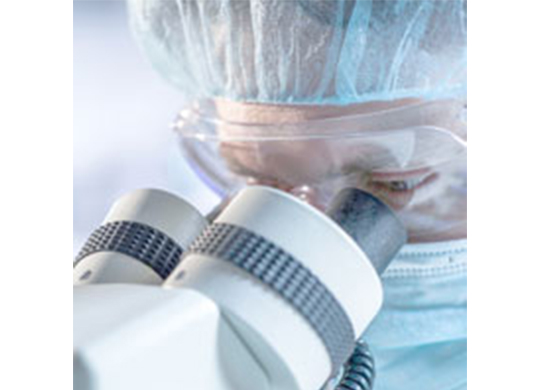 Microscopyvwr.jpg Microscopyvwr.jpg