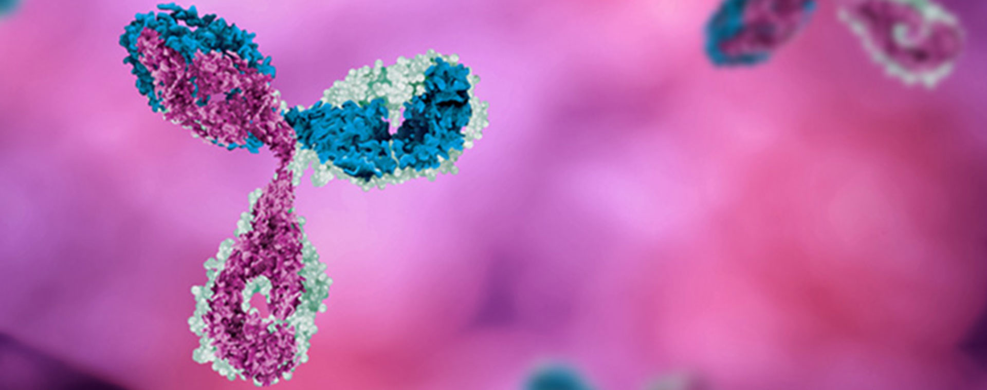 Monoclonal-Antibodies1920x760.jpg Monoclonal-Antibodies1920x760.jpg