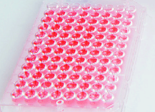 Nunclon.png Nunclon.png