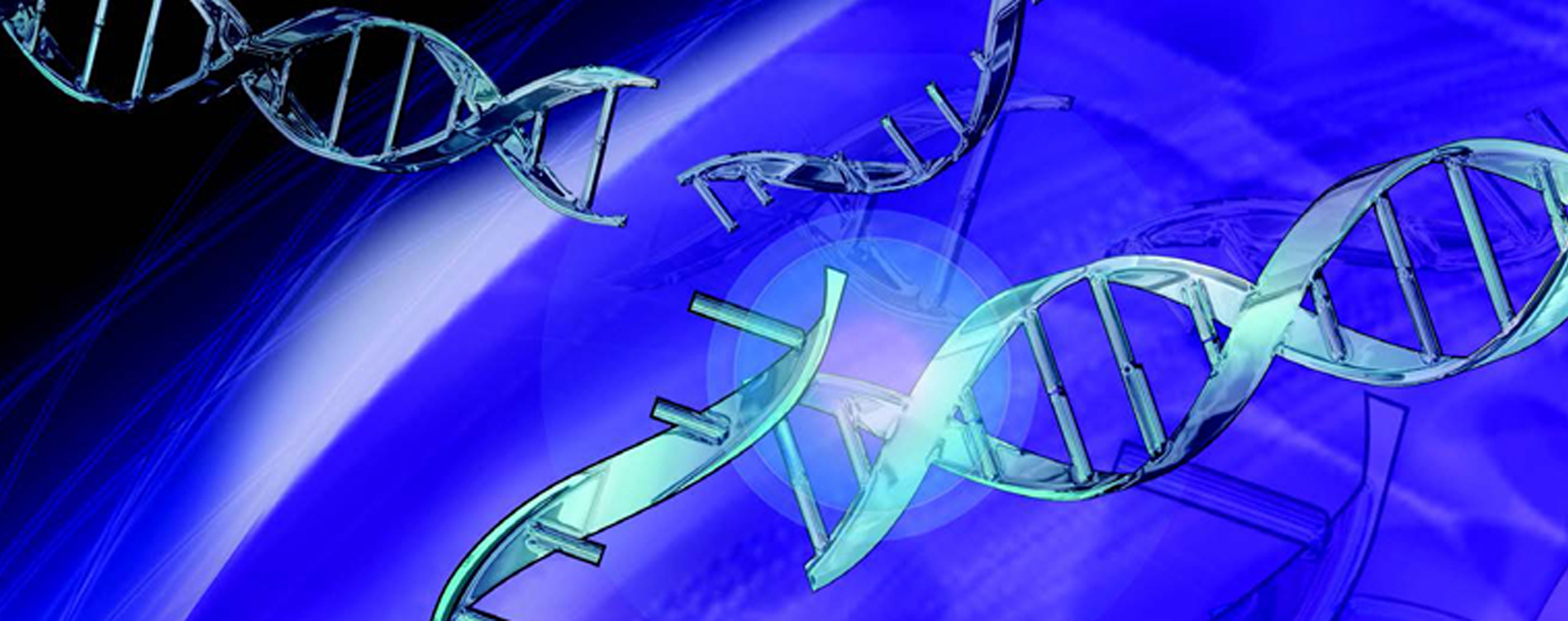 Oligonucleotide-Analyses.png Oligonucleotide-Analyses.png