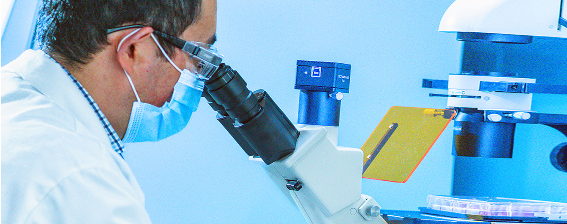 PartofAvantor1920x760.jpg PartofAvantor1920x760.jpg