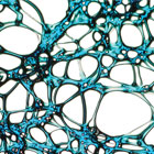 PhysicsBanner140x140.jpg PhysicsBanner140x140.jpg