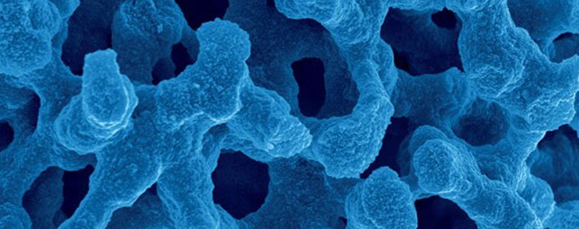 PracticalSolutions.png PracticalSolutions.png