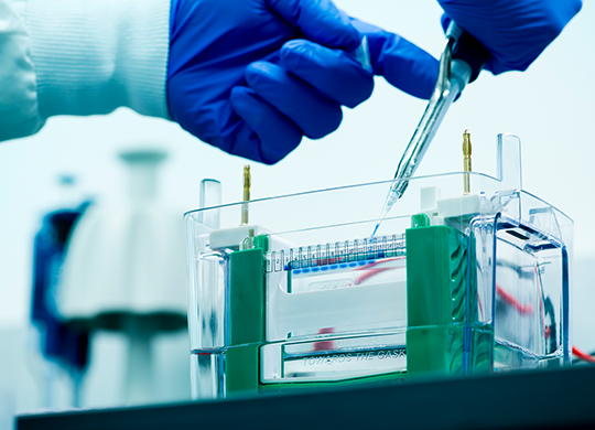 Sample preparation in cell and gene therapy lab Sample preparation in cell and gene therapy lab