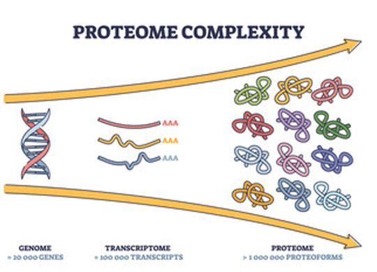 Proteome.png
