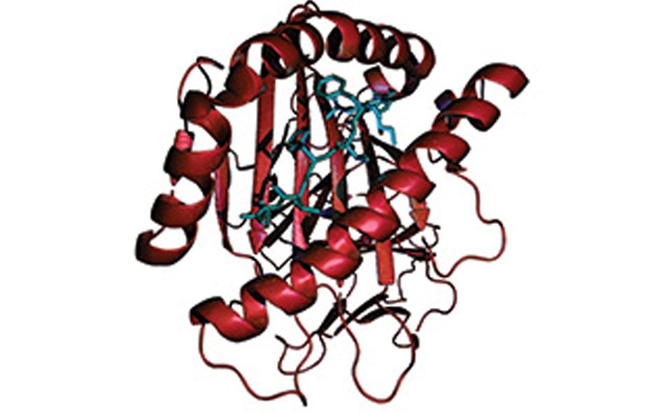 ProteomicsChromatographyProducts_955.jpg