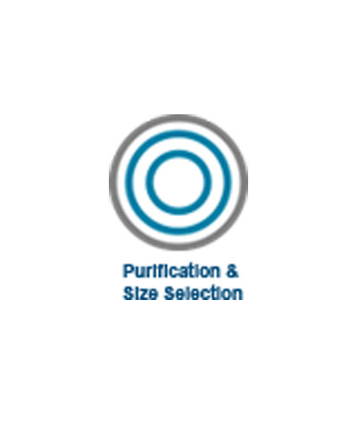 PureMag_400.jpg PureMag_400.jpg