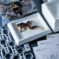 RML_IntroToBioMain_400.jpg RML_IntroToBioMain_400.jpg