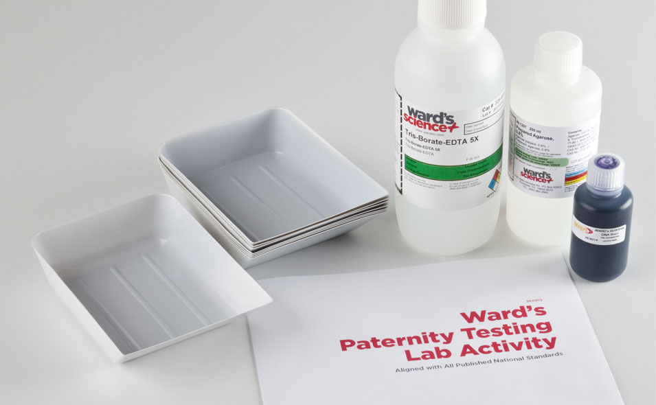 Resources-BIo-LivingSpecFeaturePromoBoreal_955x590.jpg Resources-BIo-LivingSpecFeaturePromoBoreal_955x590.jpg