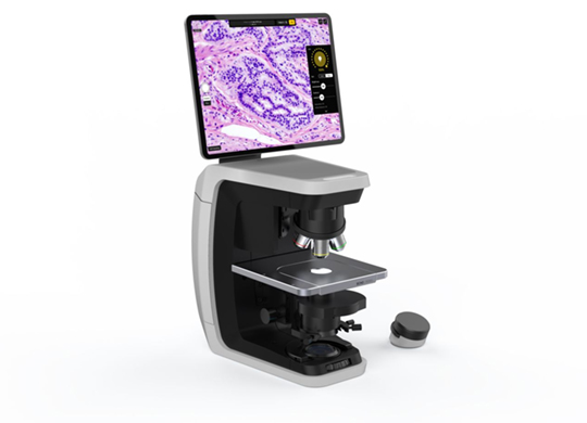 Revolve-easily-transform.jpg Revolve-easily-transform.jpg