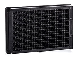 SF-Multiccat.jpg SF-Multiccat.jpg
