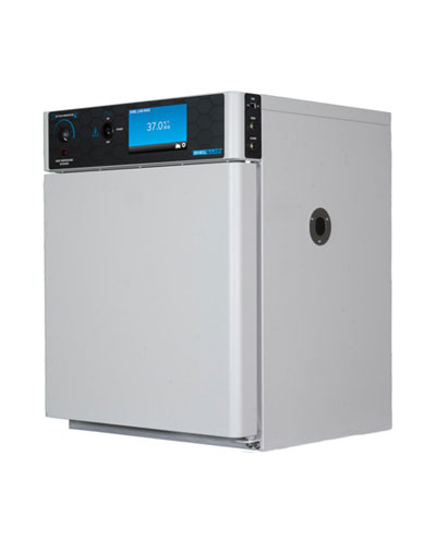 SMI2-Incubator400-495.jpg SMI2-Incubator400-495.jpg