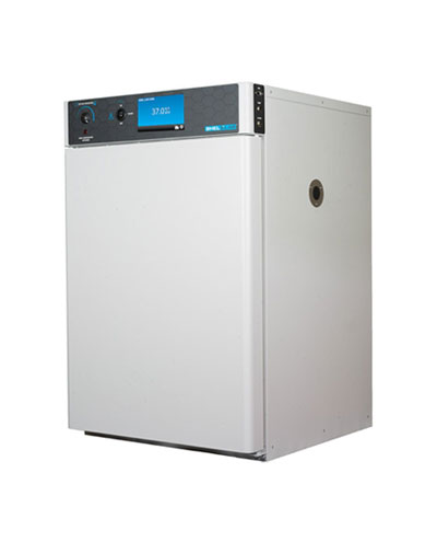 SMI6-Incubator400-495.jpg SMI6-Incubator400-495.jpg