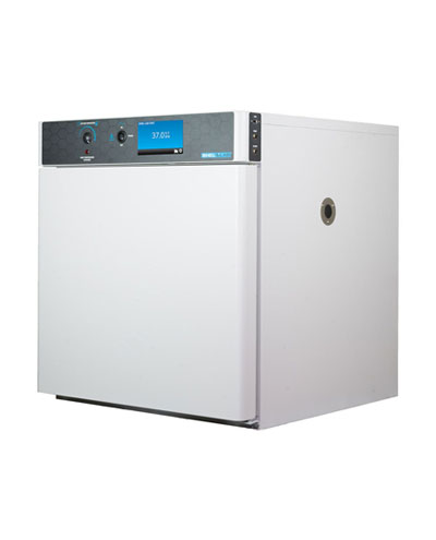 SMI7-Incubator400-495.jpg SMI7-Incubator400-495.jpg