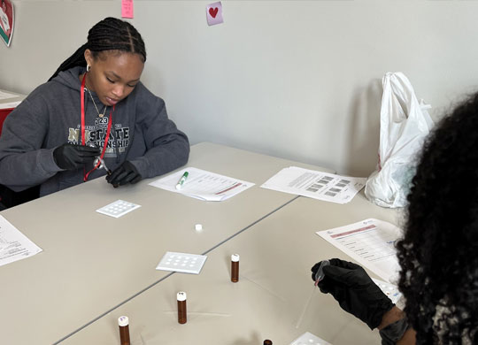 STEM-learning-540.jpg STEM-learning-540.jpg