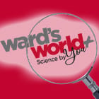 ScienceByYou.jpg ScienceByYou.jpg