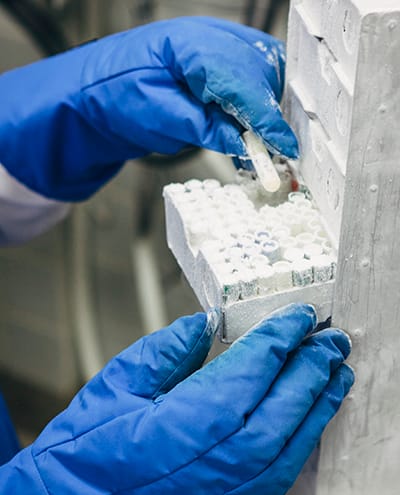 Special_400x495.jpg Special_400x495.jpg