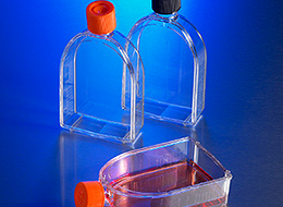 T-75U_group CTA 260x190.jpg T-75U_group CTA 260x190.jpg