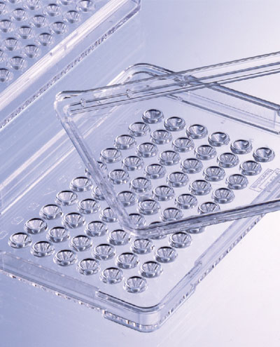 TerasakiPlates_400.jpg TerasakiPlates_400.jpg