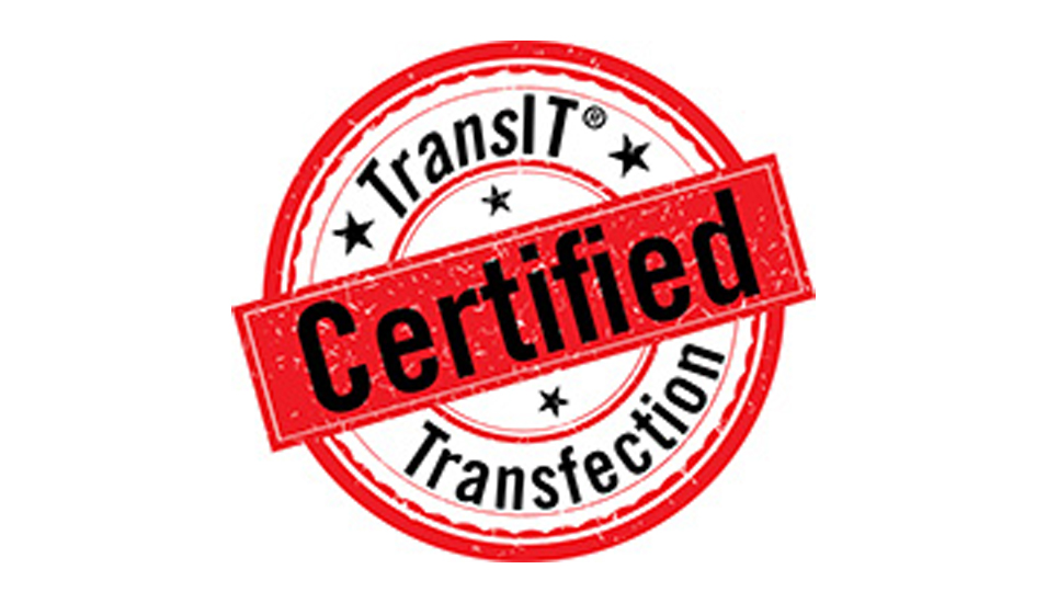Transfections1.jpg Transfections1.jpg