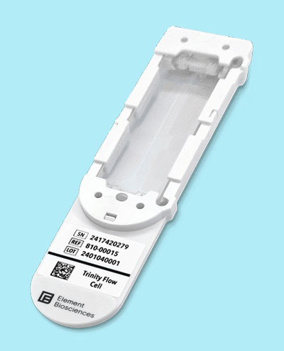 Trinity-400.jpg Trinity-400.jpg