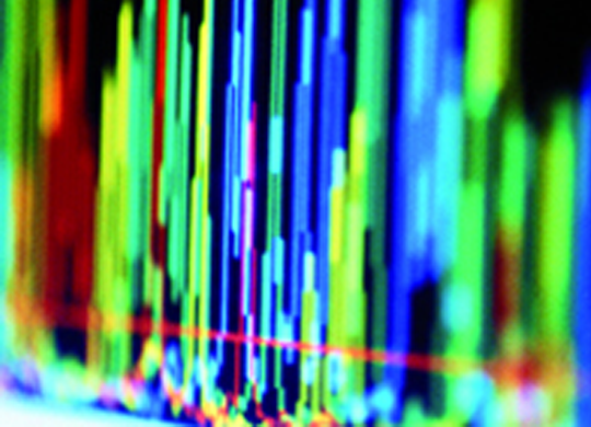 UnICP Standards 540.png UnICP Standards 540.png