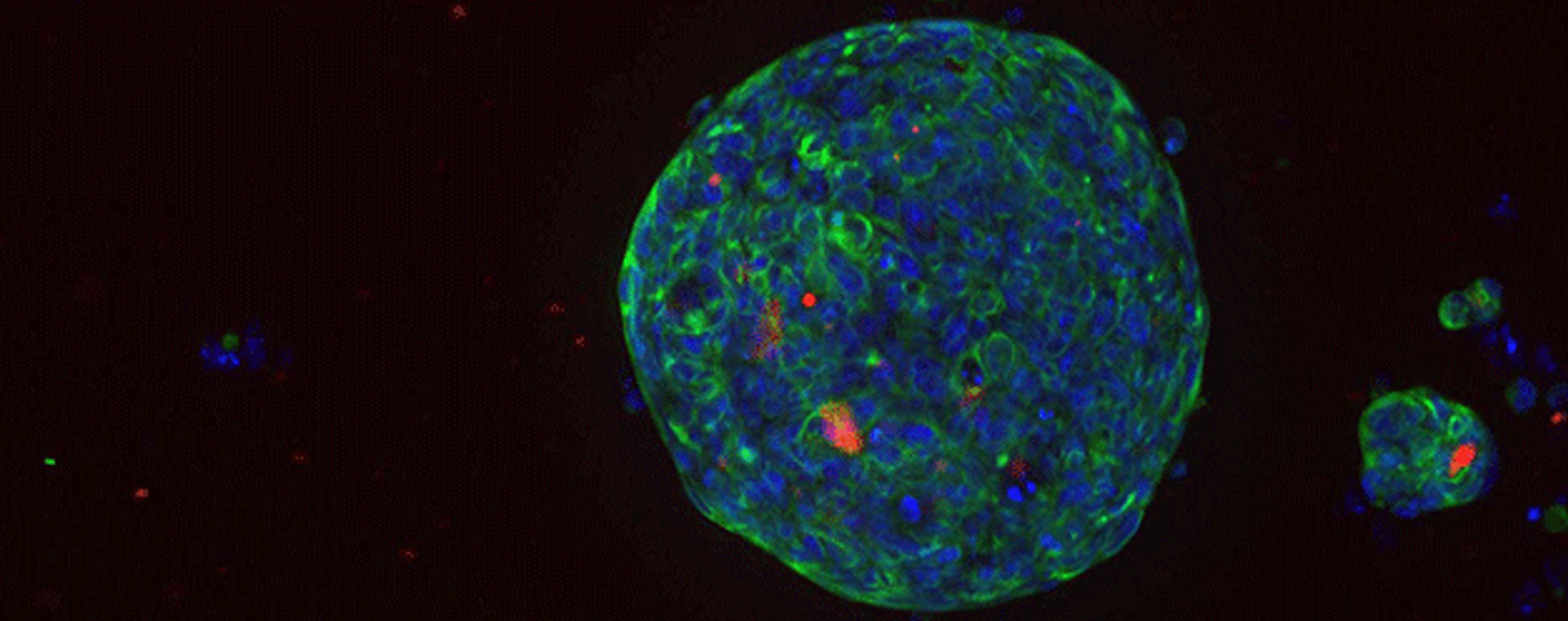 Untitled-4.png Untitled-4.png