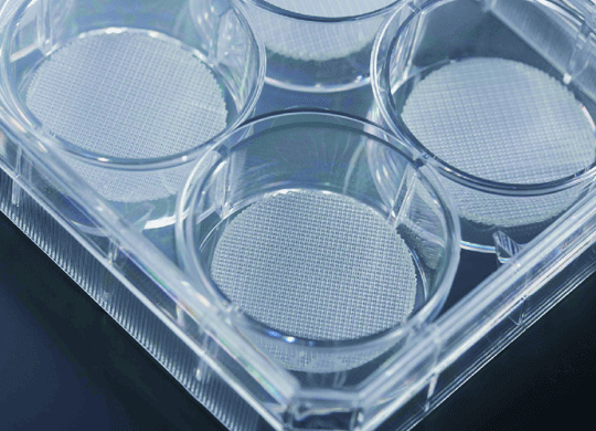 VWRPlates.png VWRPlates.png