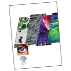 WS_2025catalogInset_140.jpg WS_2025catalogInset_140.jpg