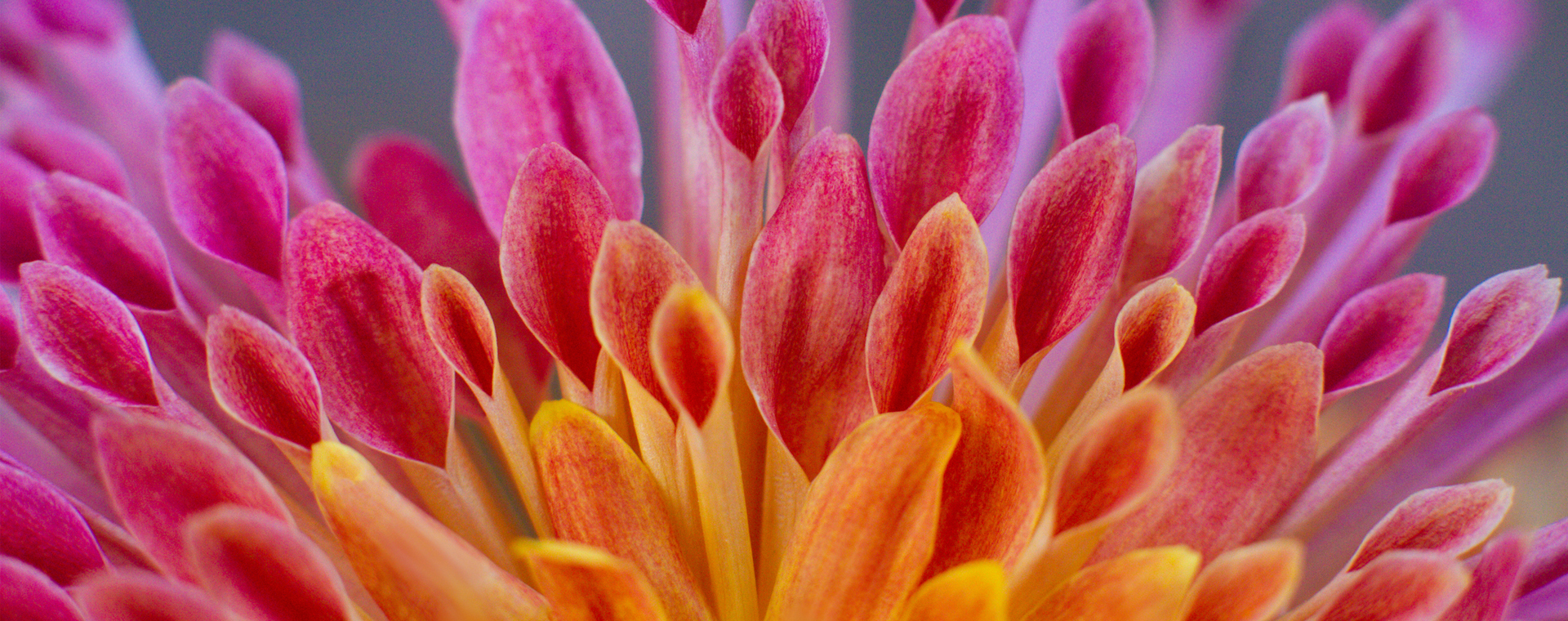 WS_APenvironmentalBanner_1920x760.jpg WS_APenvironmentalBanner_1920x760.jpg