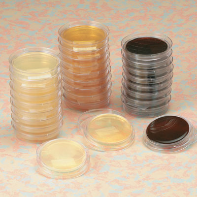 WS_CulturingSupplies_400.jpg WS_CulturingSupplies_400.jpg