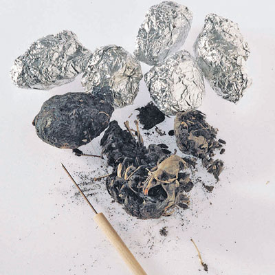 WS_EcosystemsBiodiversity_400.jpg WS_EcosystemsBiodiversity_400.jpg