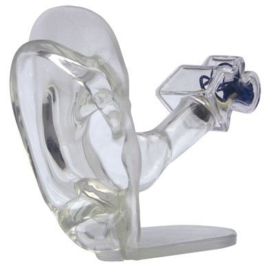 WS_General_Anatomical_Studies.jpg WS_General_Anatomical_Studies.jpg