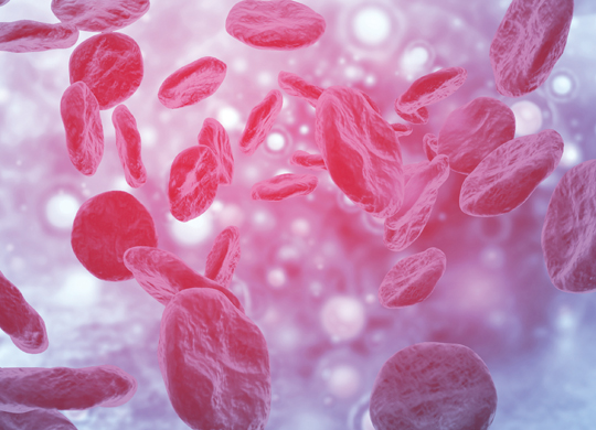 WS_HelathcareEd_540x390.jpg WS_HelathcareEd_540x390.jpg