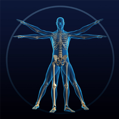 WS_RML_AnatomyPhys_Main_400.jpg WS_RML_AnatomyPhys_Main_400.jpg