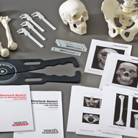 WS_RML_Forensics_skeletalEv_200.jpg WS_RML_Forensics_skeletalEv_200.jpg