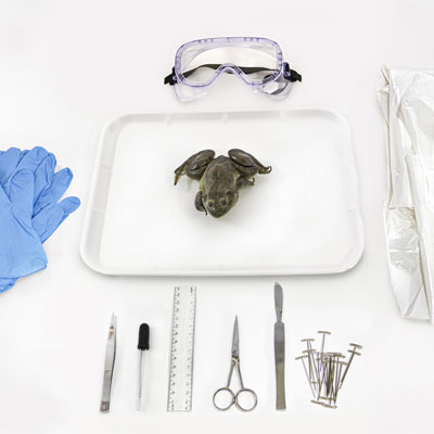 WS_biology_RMS.jpg WS_biology_RMS.jpg