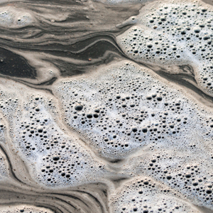 WS_resourcesOverviewEnviroSci_300.jpg WS_resourcesOverviewEnviroSci_300.jpg