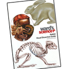 WS_shopAllPreserved_140.jpg WS_shopAllPreserved_140.jpg