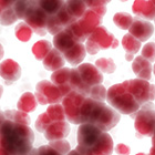 Wards_Red_Blood_Cells_140.jpg Wards_Red_Blood_Cells_140.jpg