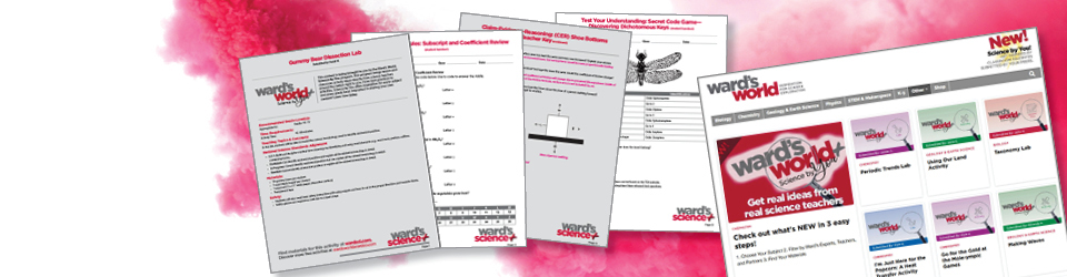 Wards_WardsWorld_SBUbanner.jpg Wards_WardsWorld_SBUbanner.jpg