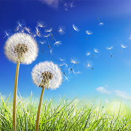 air_analysis_teaser_270x270.jpg air_analysis_teaser_270x270.jpg